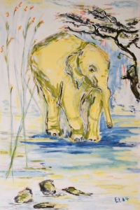 kleiner elephant bei hagenbeck